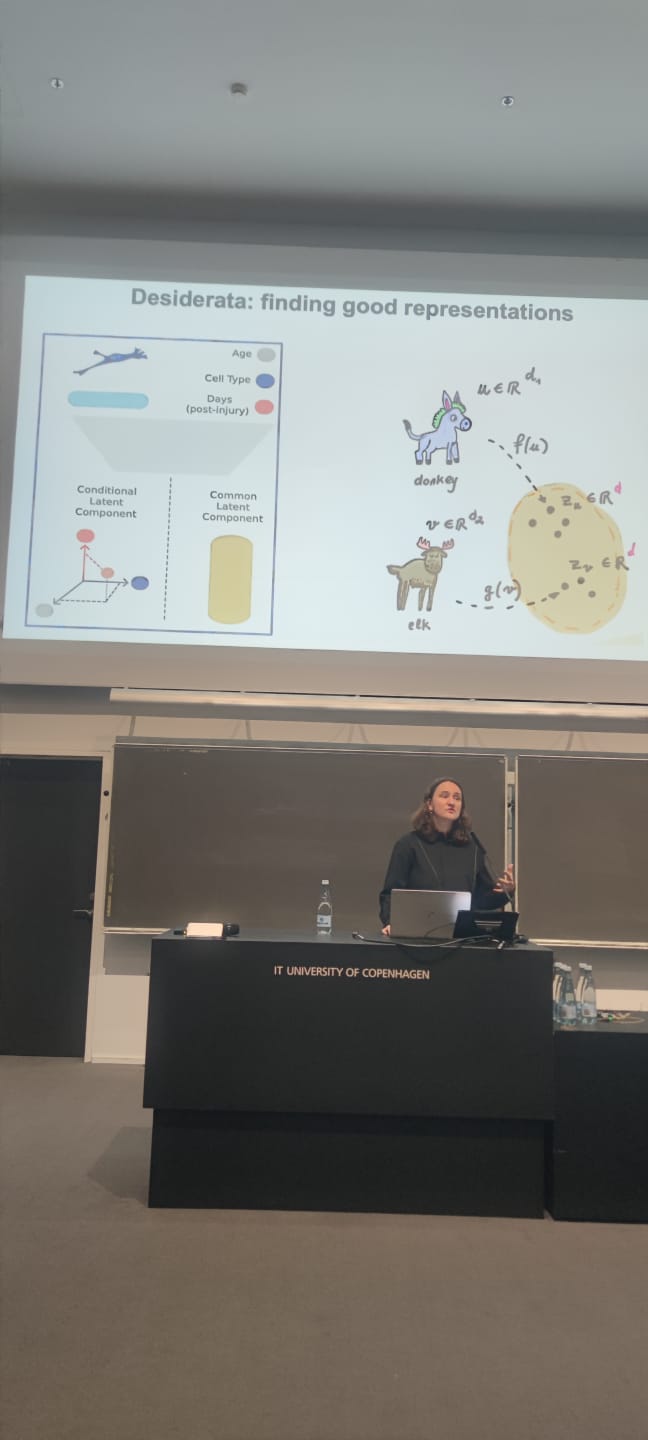 MMRL4H workshop photo 9